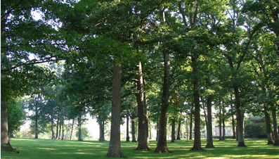 Lincoln Park Oak Grove (Credit: City of Rock Island)