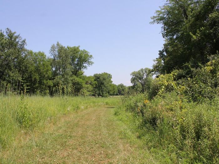 Mowed Trail (Credit: MindFire Communications)
