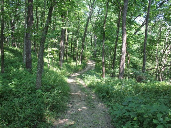 Improved Trail (Credit: MindFire Communications)