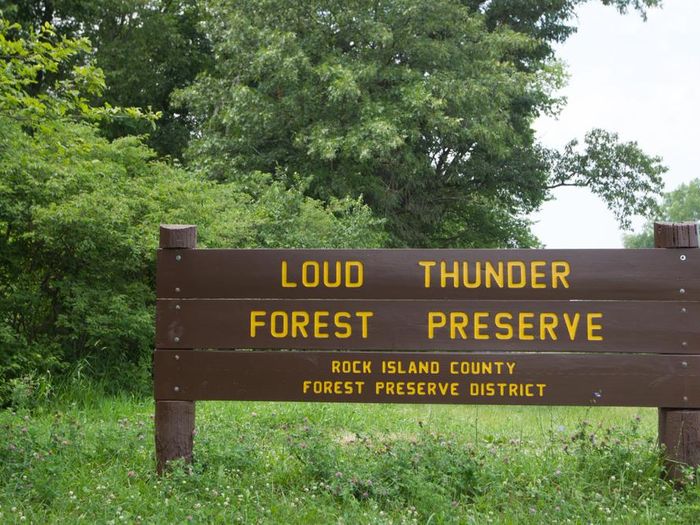 Loud Thunder Forest Preserve (Credit: Quinn Kirkpatrick; Small Wonders Photography)