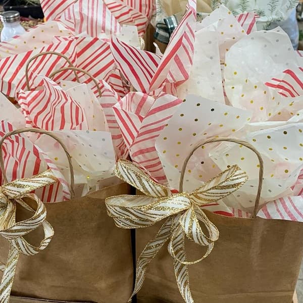 Amaryllis bulb gift bags