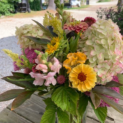 Fresh cut flowers - looking forward to 2025