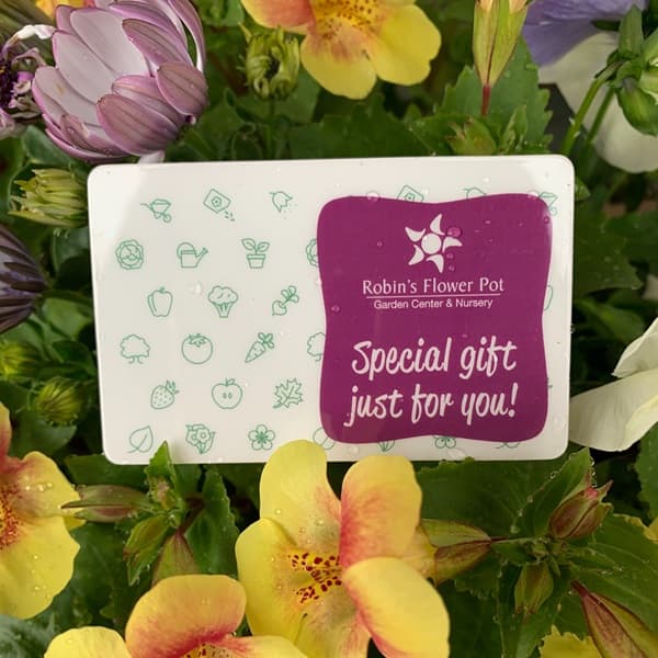 Gift Certificates