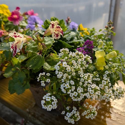 Containers &amp; Baskets