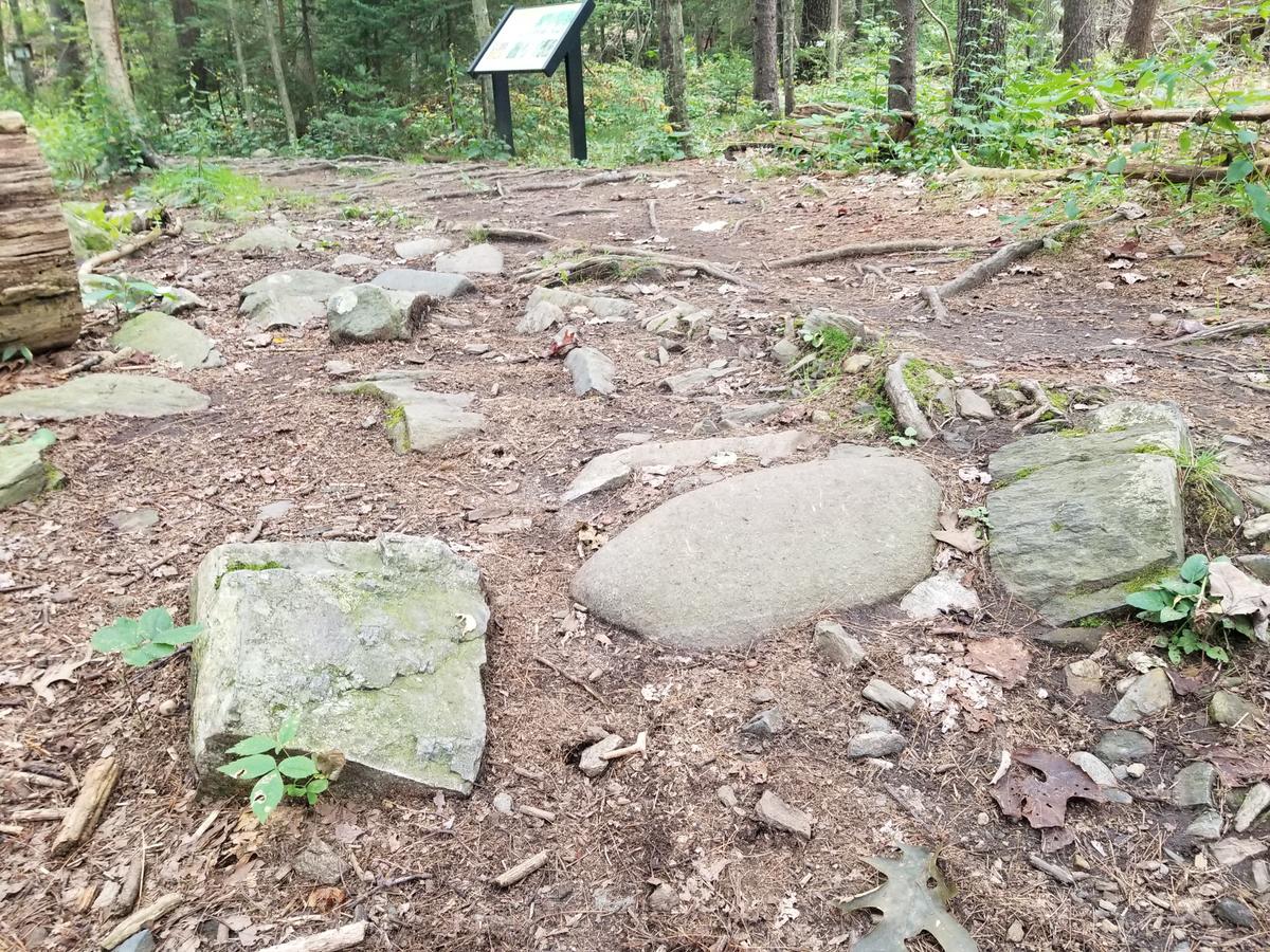 Rocky terrain just past the trailhead. Photo credit: Enock Glidden