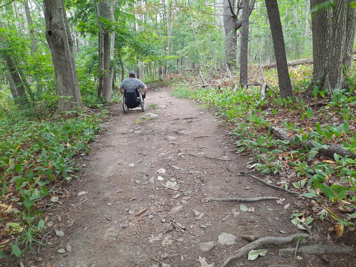 A man uses a wheelchair on a trail with small roots and rocks.