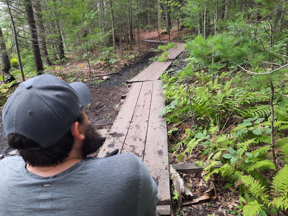 Bog bridges with 3 boards are crossable with a wheelchair. Photo credit: Enock Glidden