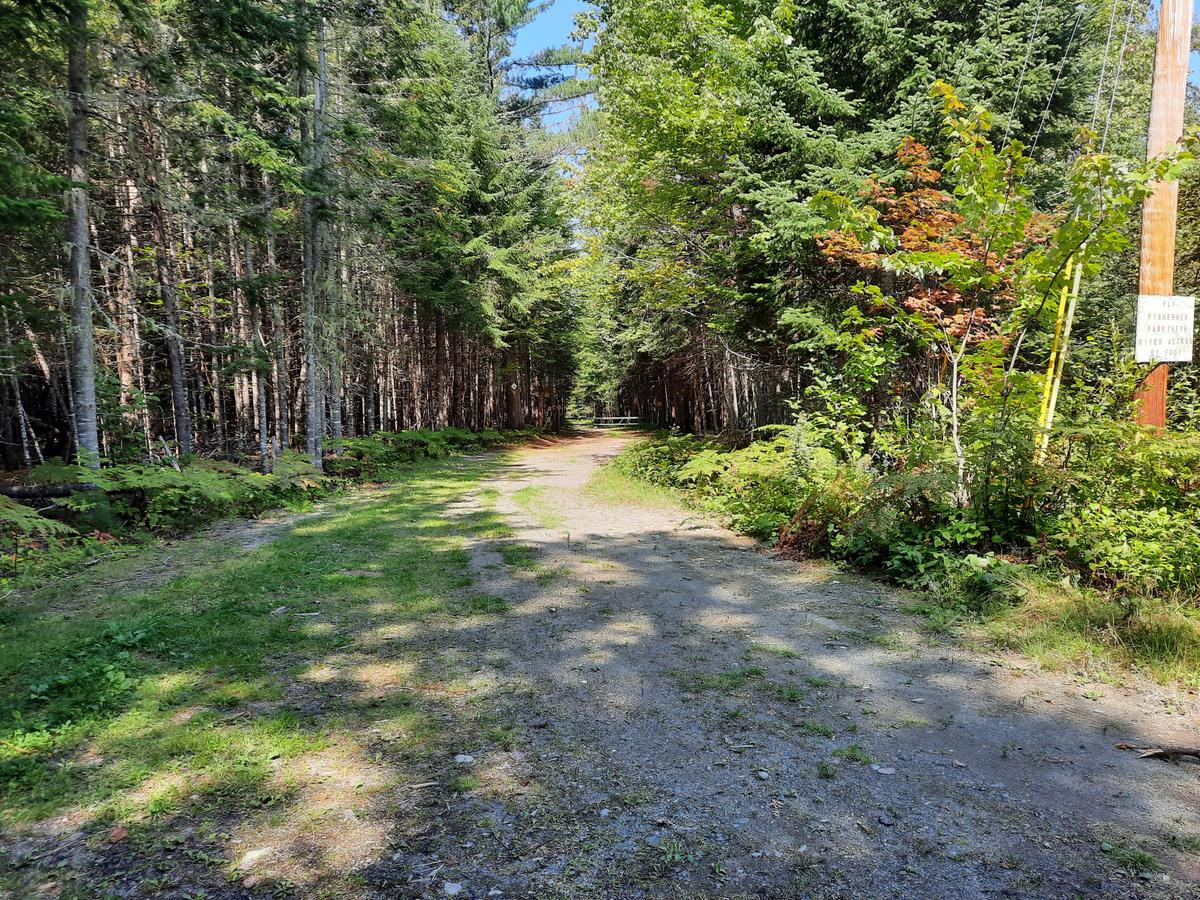 The beginning of the Rangeley River Trail. Photo credit: Enock Glidden