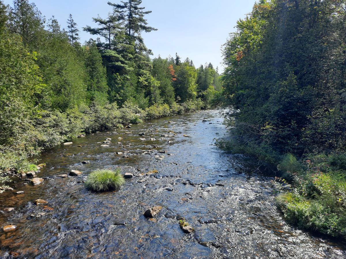 View of the Rangeley River. Photo credit: Enock Glidden