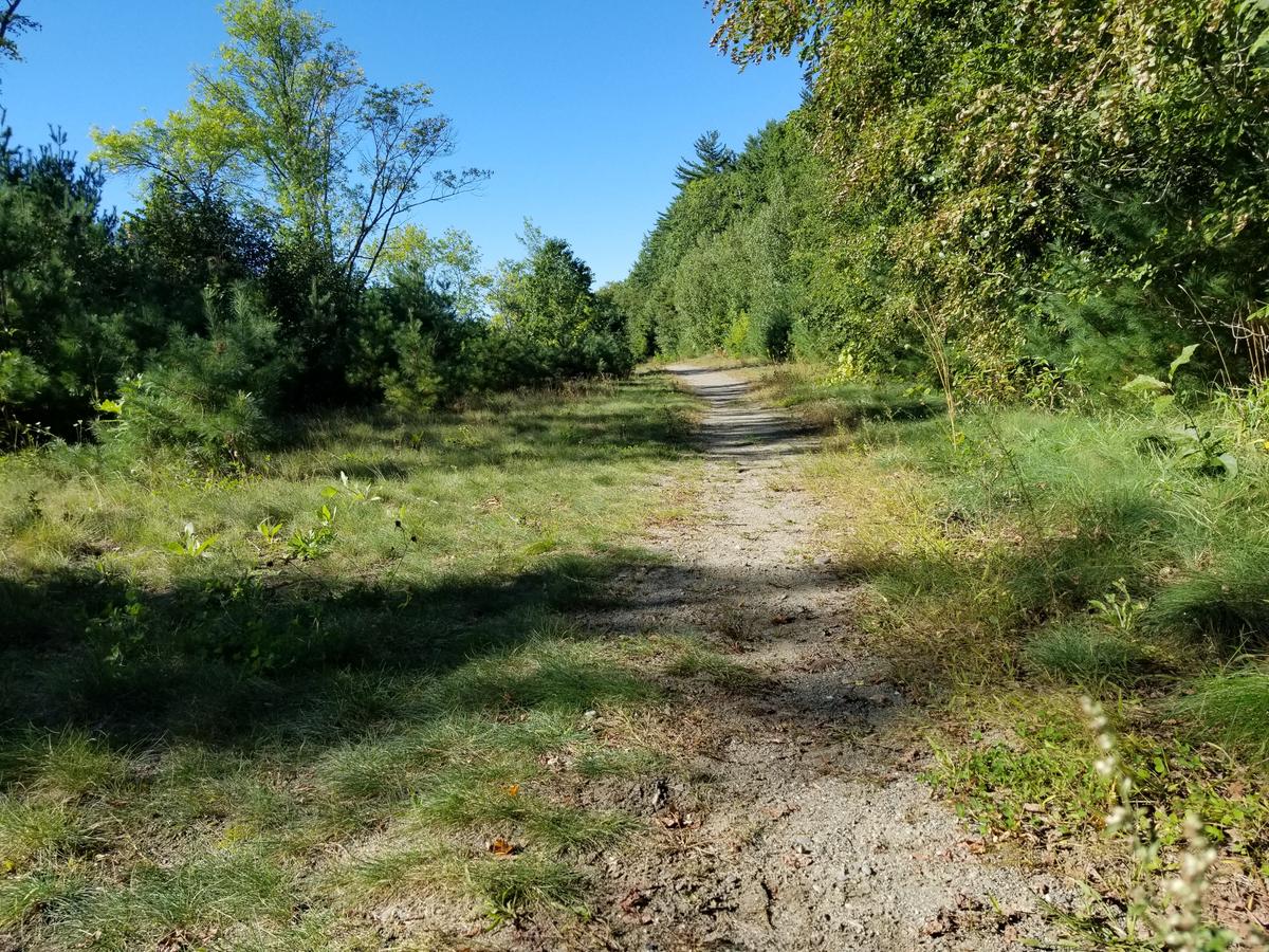 A sandy section of trail. Photo credit: Enock Glidden