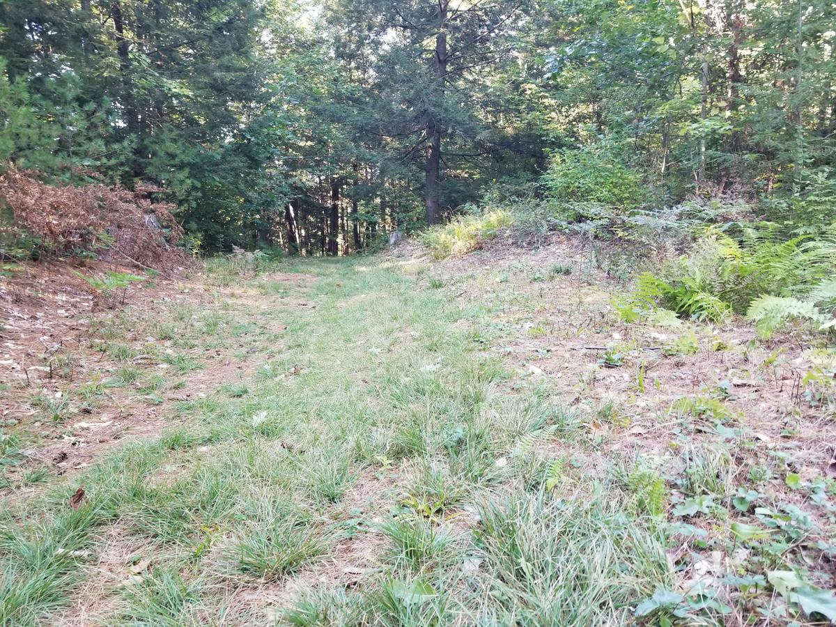 Trail surface on one of the uphills. Photo credit: Enock Glidden