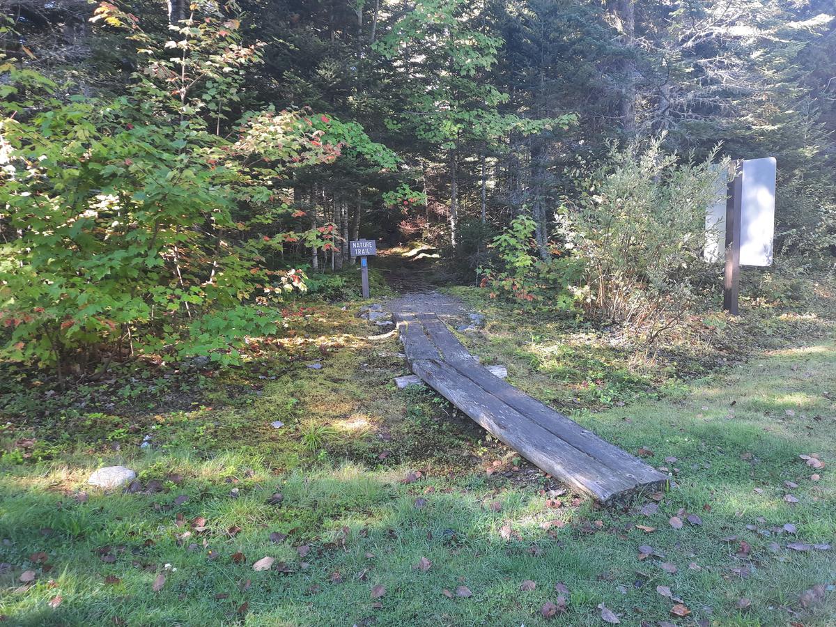 Entrance to the Nature Trail with a narrow bog bridge. Photo credit: Enock Glidden