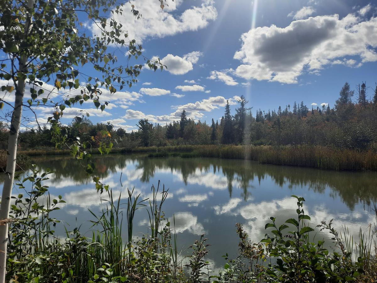 Greg's Pond. Photo credit: Enock Glidden