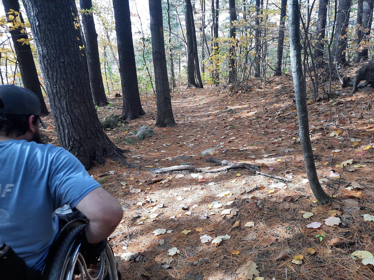 Roots along the first section of the trail. Photo credit: Enock Glidden