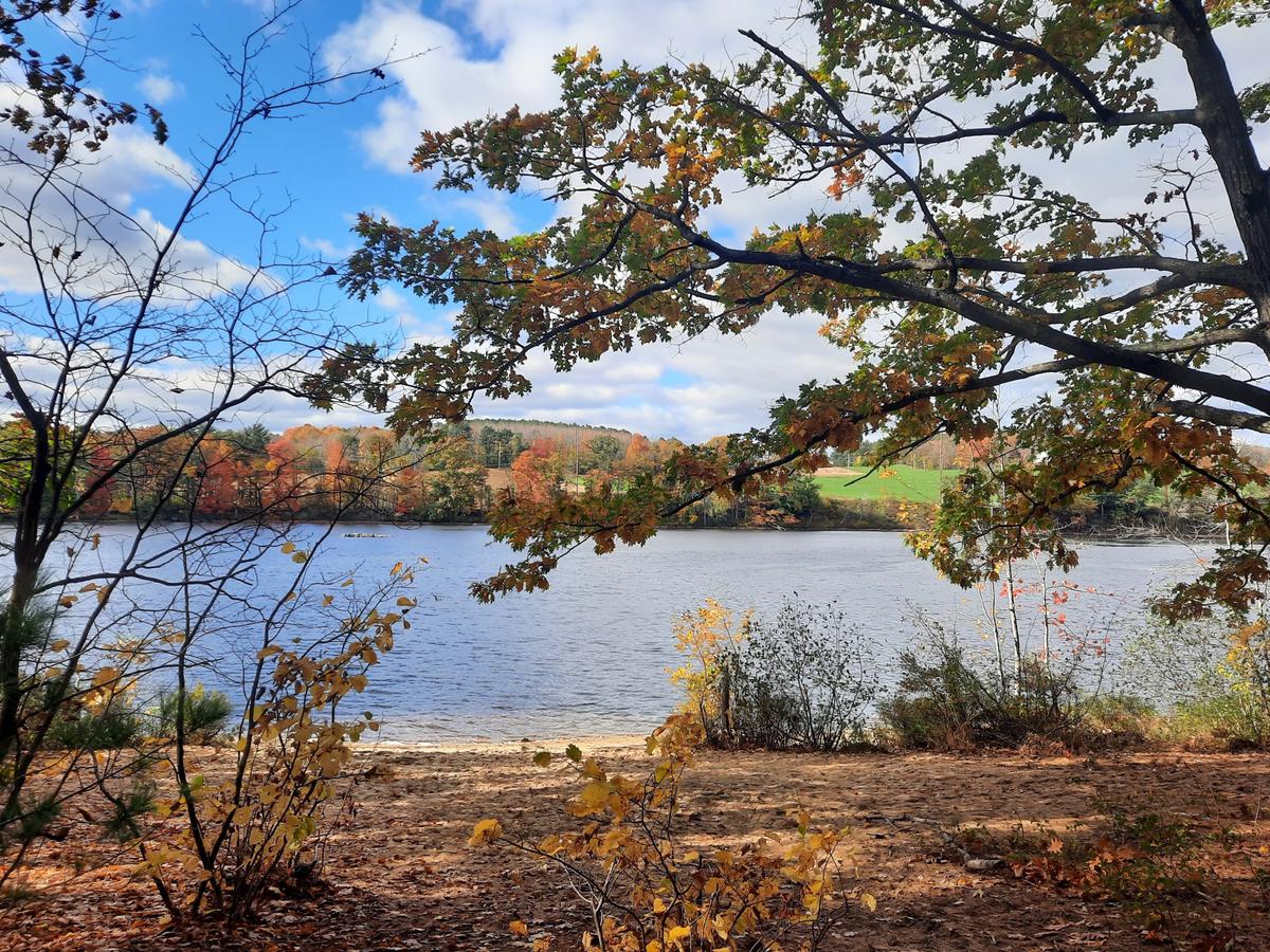 View from the beach. Photo credit: Enock Glidden