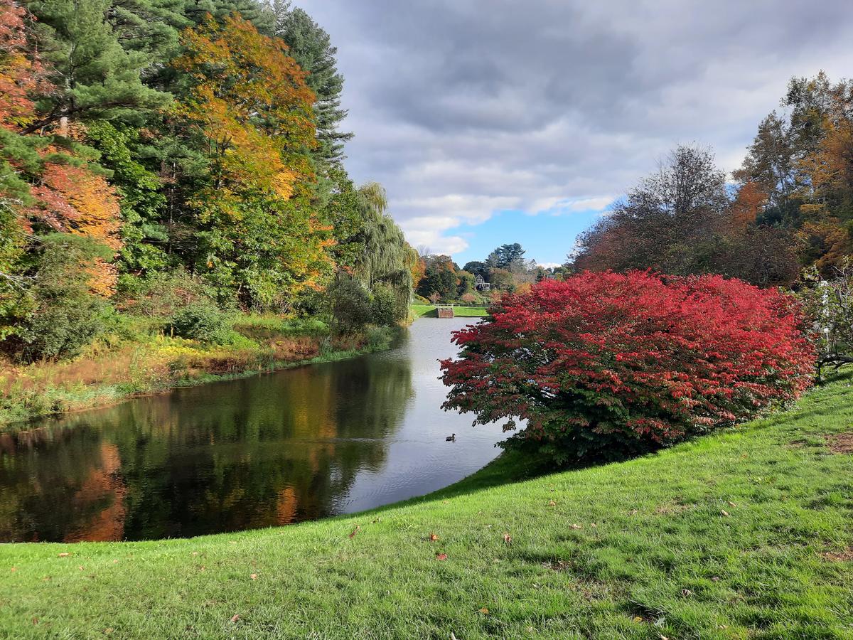 The pond at Pettengill Park. Photo credit: Enock Glidden