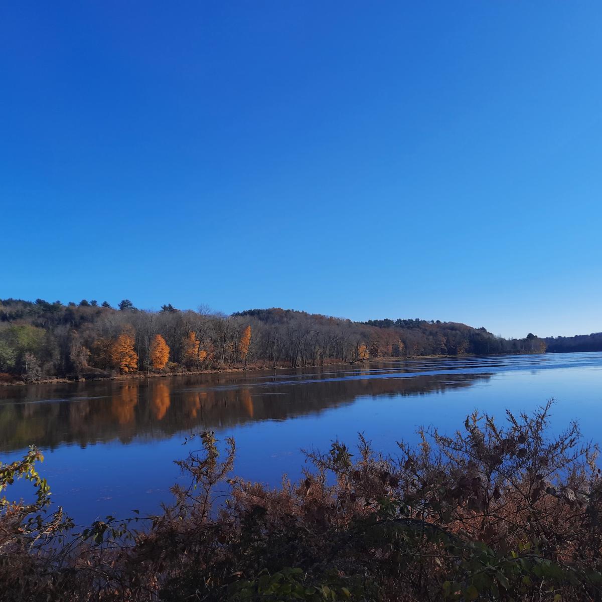 A view of the Kennebec River from the Kennebec Rail Trail