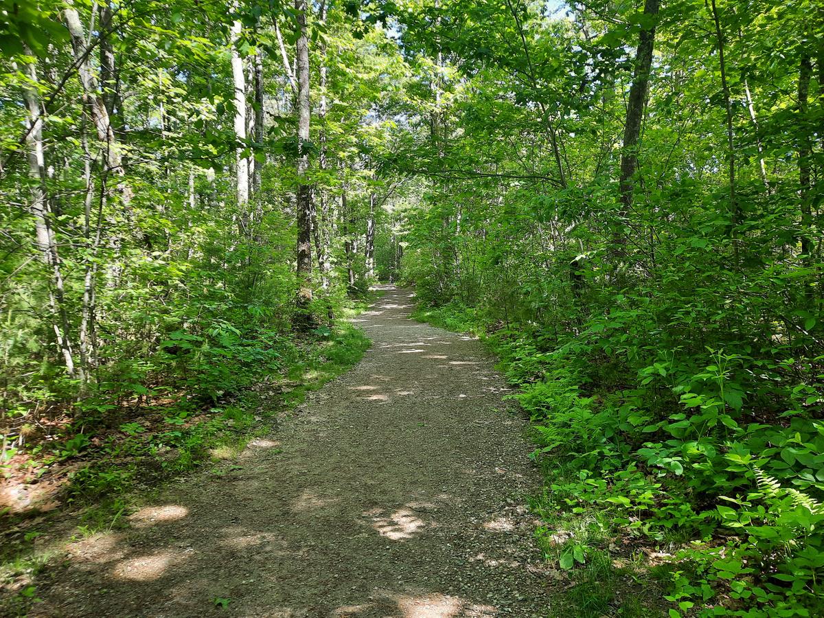 Natural, smoothed surface at Hope Woods.