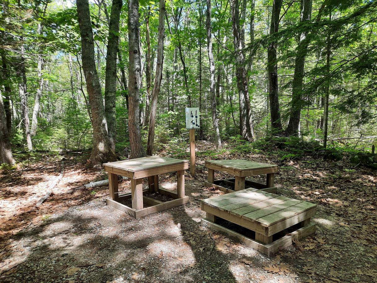 One of the exercise stations on the Fitness Trail.