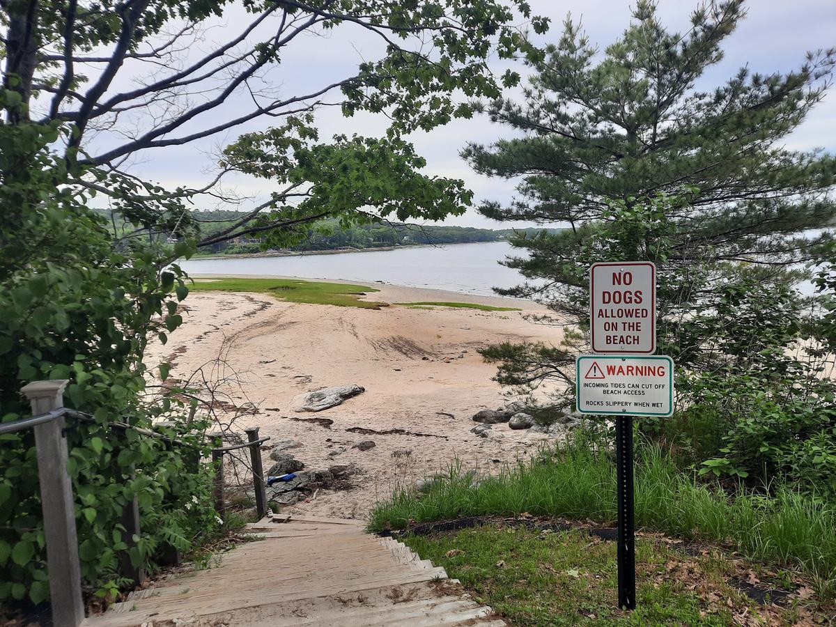 The steps down to the beach.