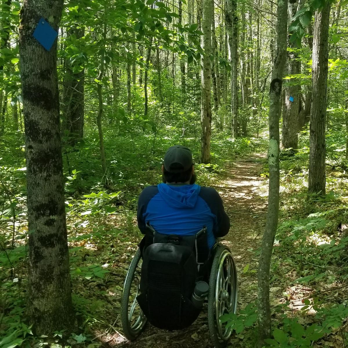 Trail width through the trees.