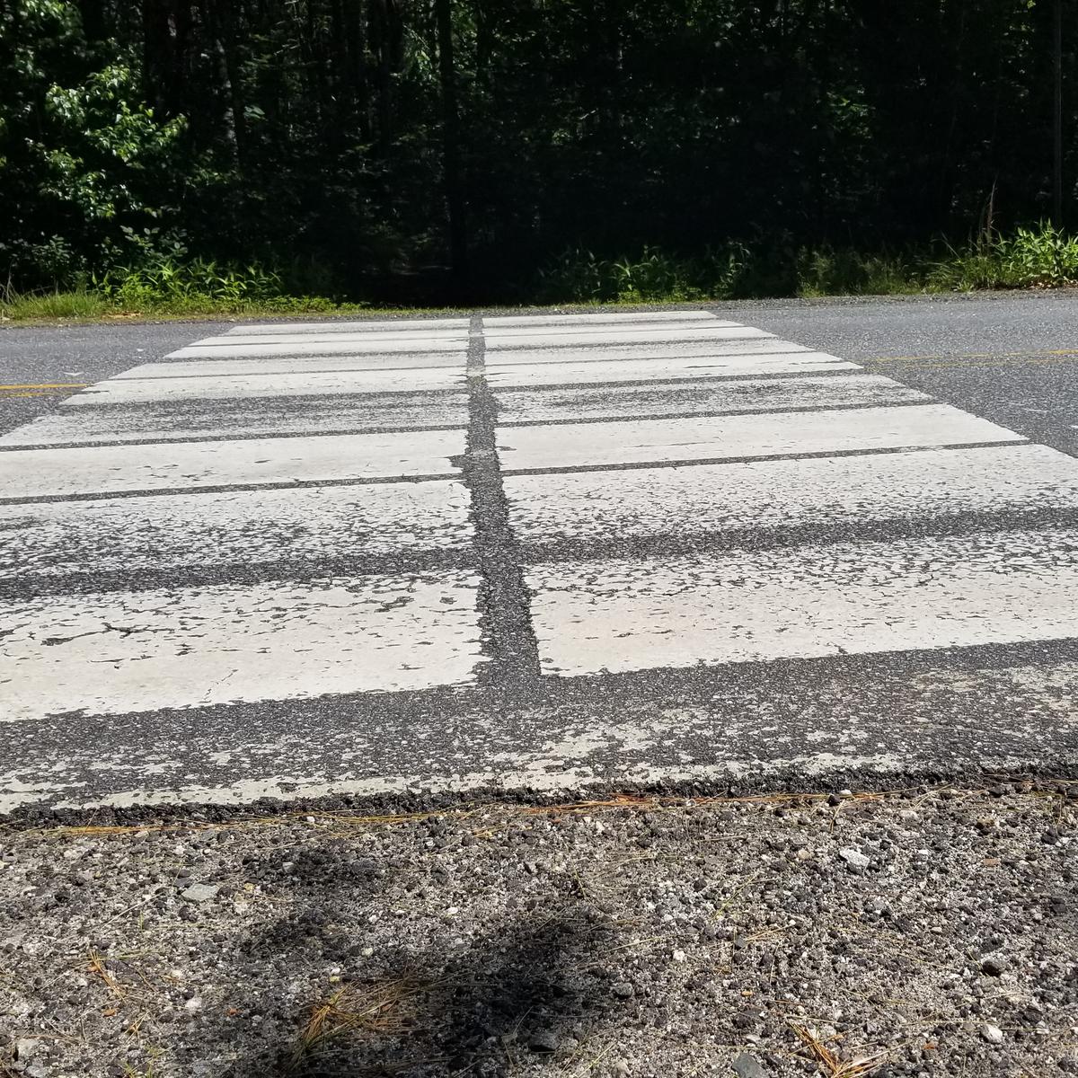 Road crossing along the trail.