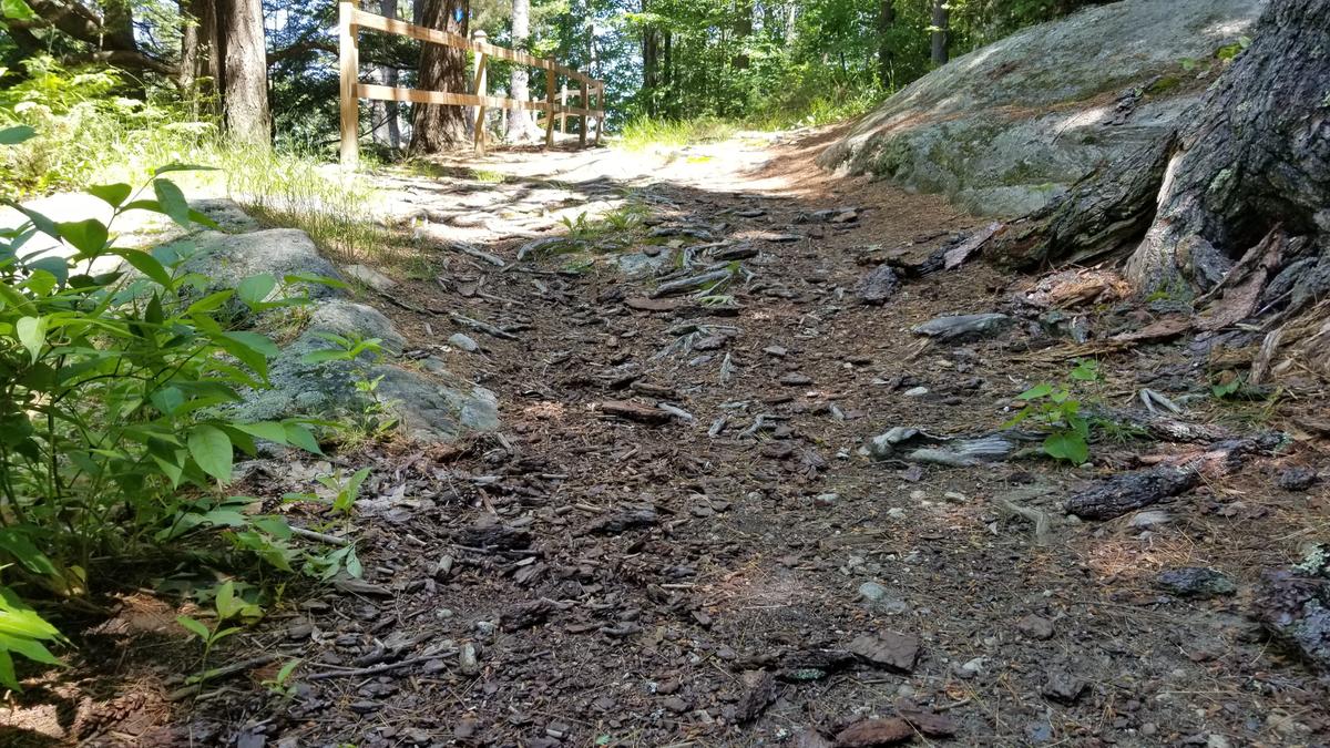 Steep hill near the end of the trail (slope is hard to see in photos!)