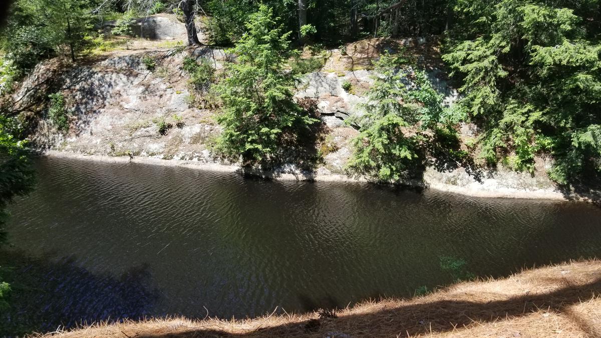 View of the pond from the top of the hill.