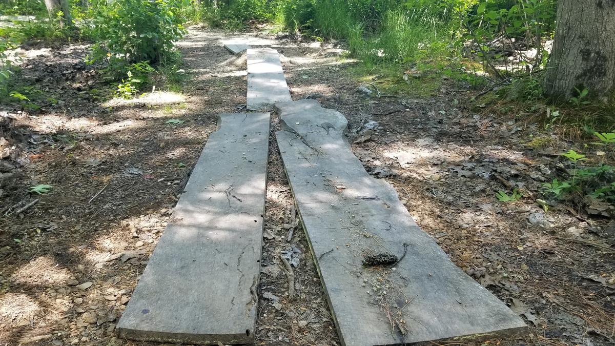 Homemade boardwalks and jump along the trail.