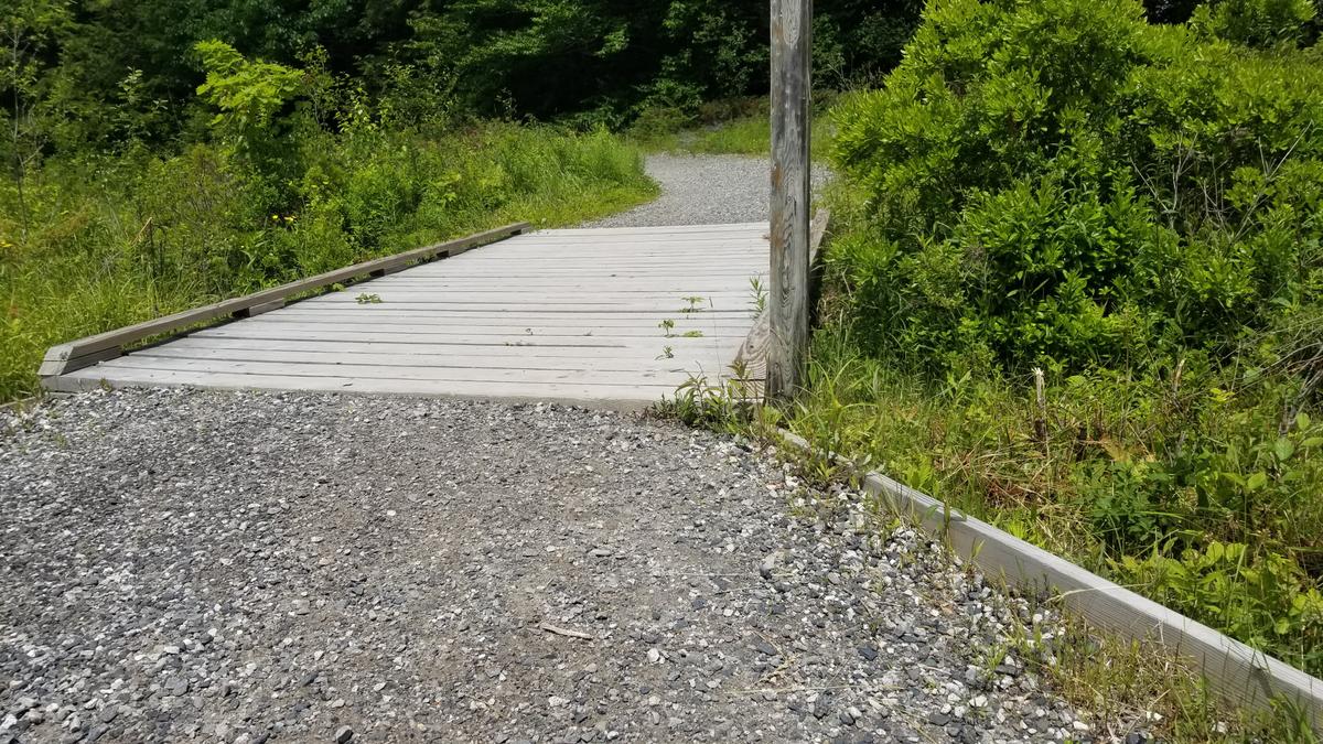 Boardwalk on the West Side Trail.