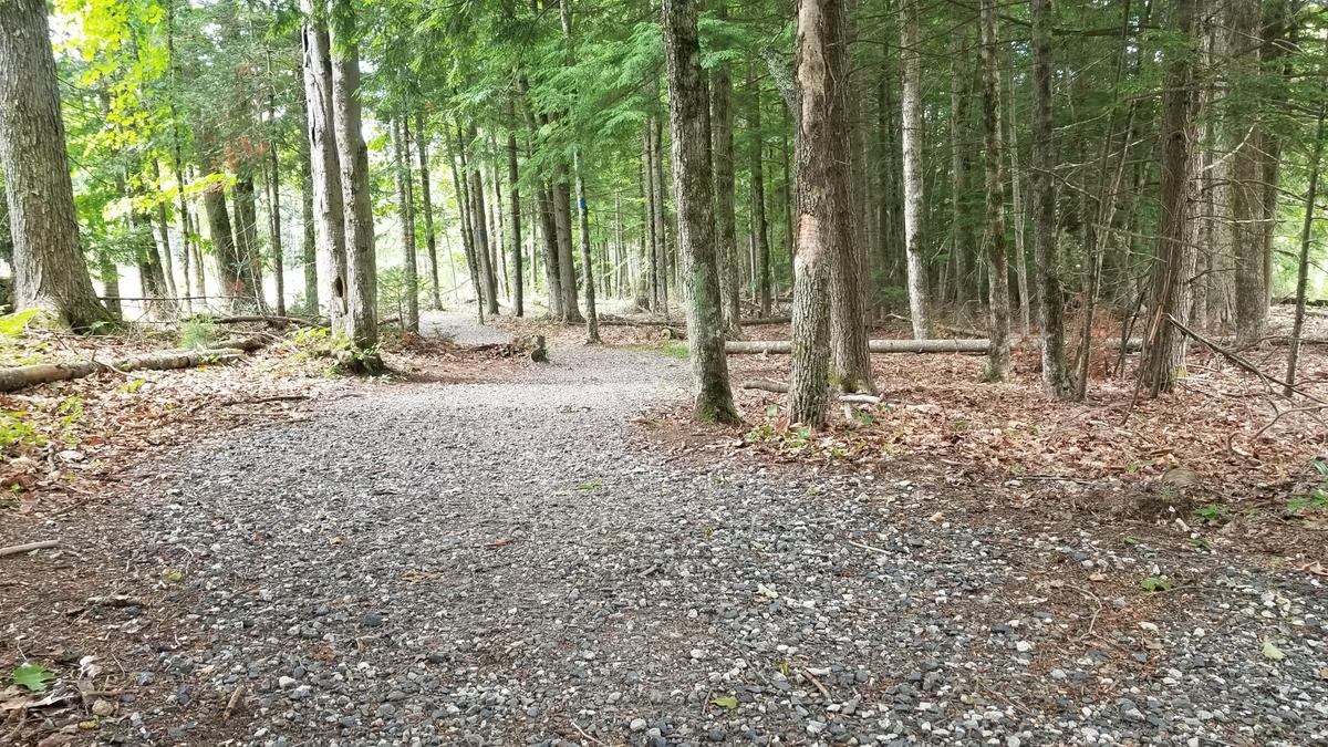 West Side Trail as it winds through the forest.