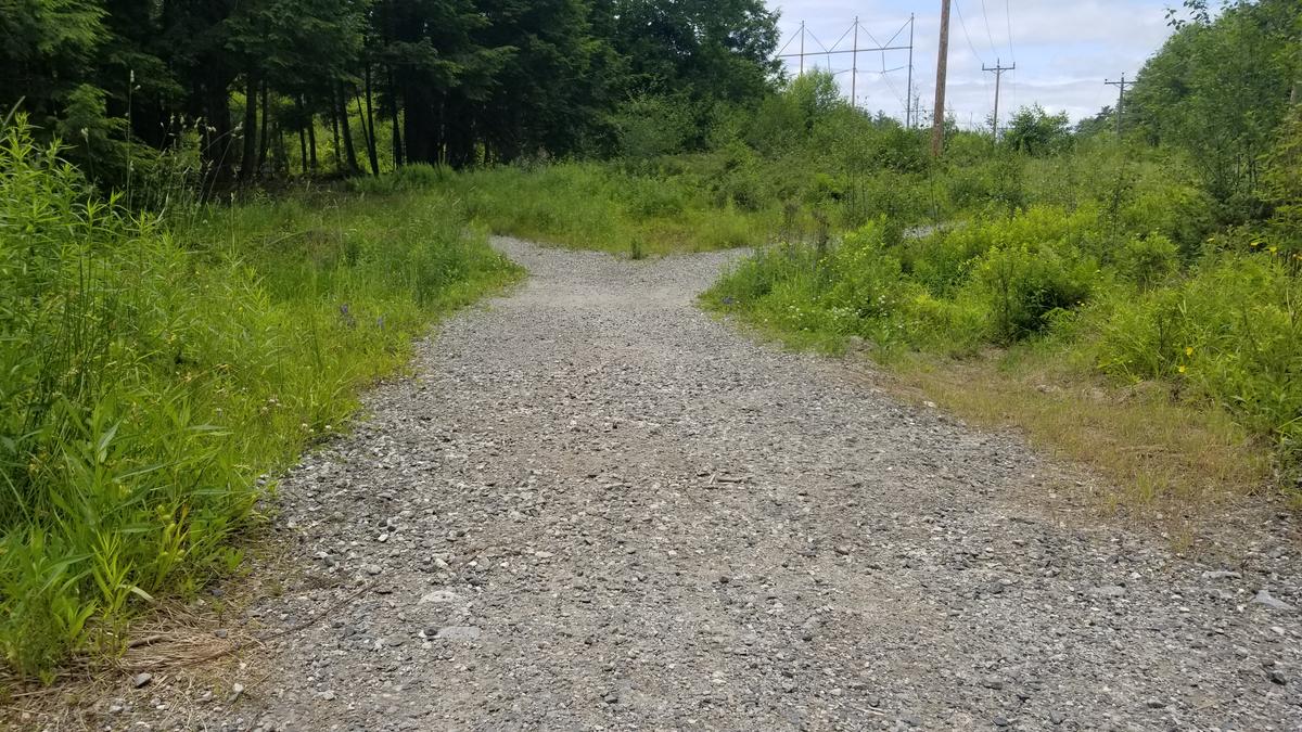 End of the trail section where it loops back or enters the woods.