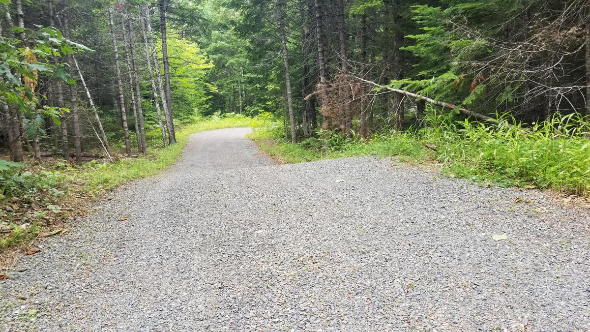 Long Logan Brook Trail