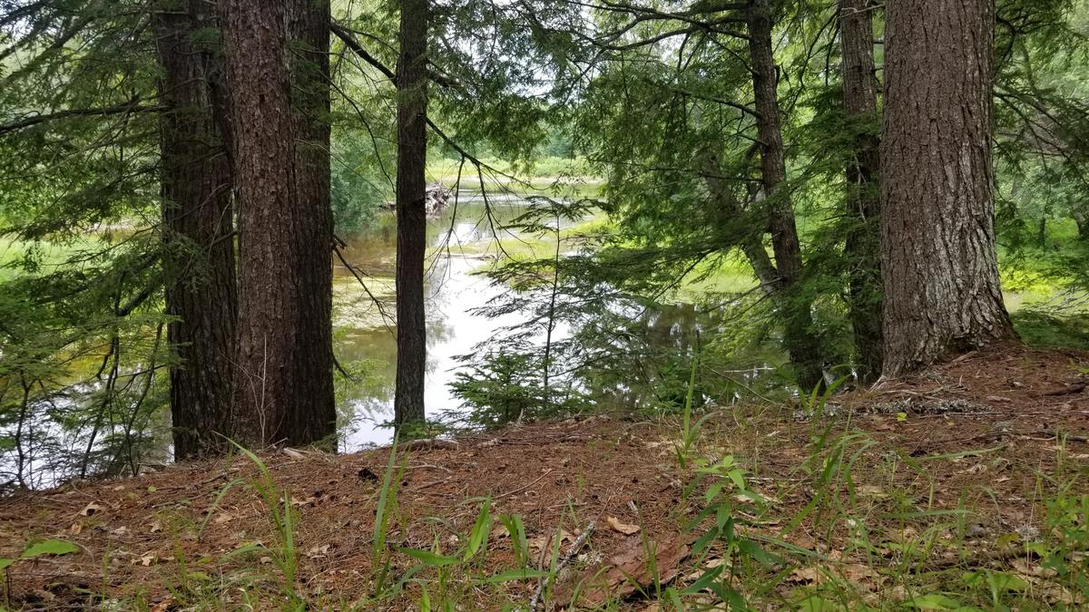 A view toward the Penobscot River.