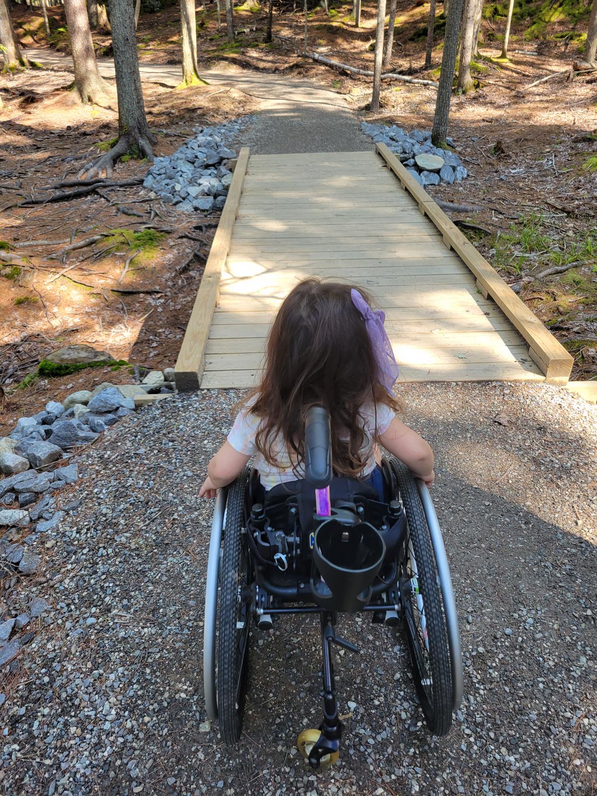 Checking out another bridge.