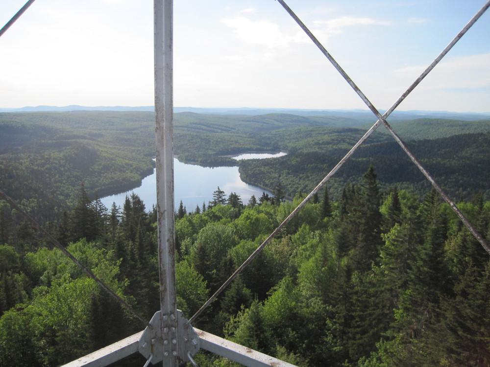 View from Deboullie Mountain, Photo credit: Bill Geller