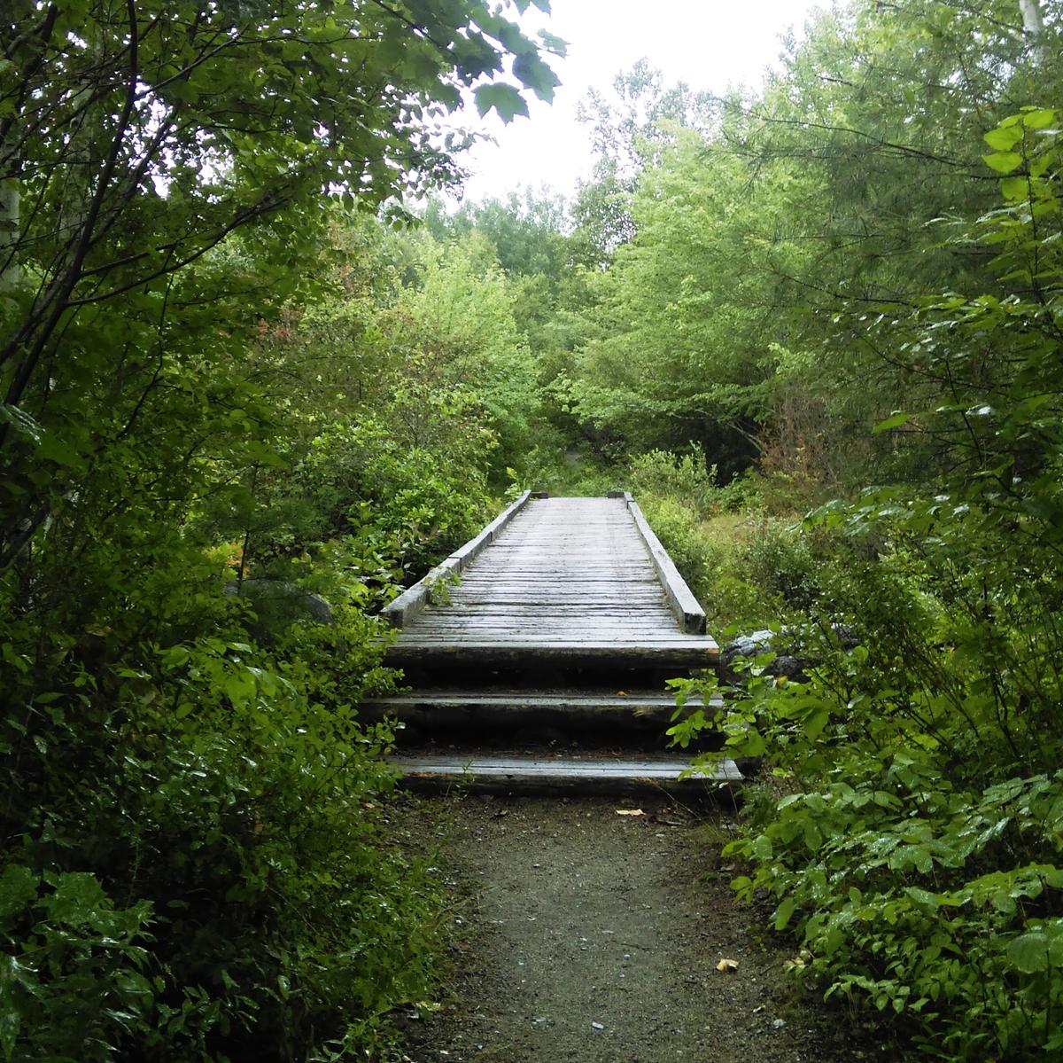 Steps up to a bridge.