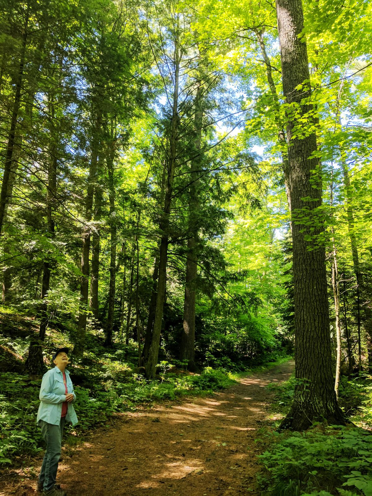 Walking outside can increase the already astonishing benefits of activity