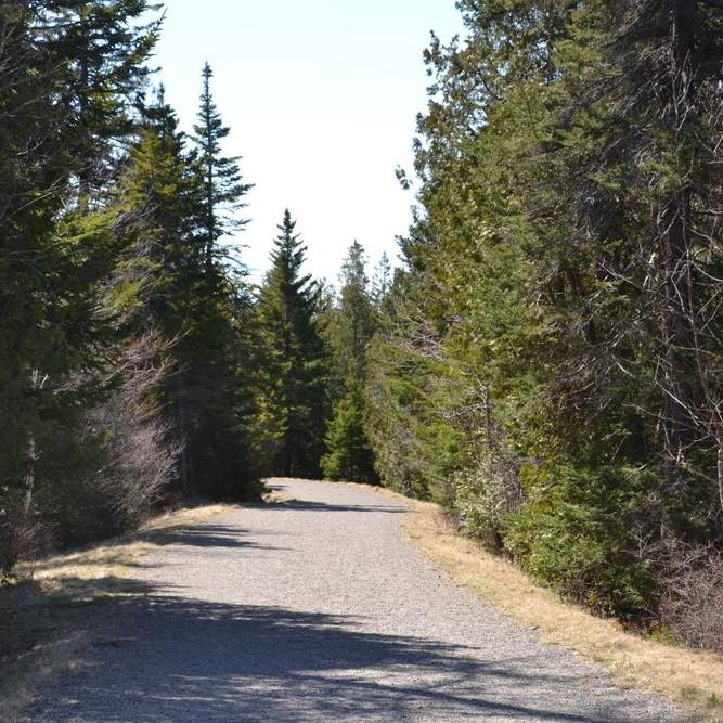 A adventure course for wheelchairs is chalked in at teh beginning of the Bethel Pathway