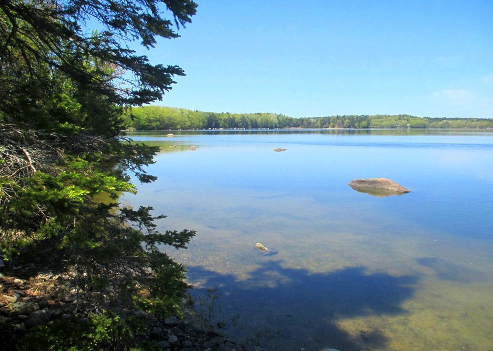 A view from Snow Natural Area shows that alewives aren't the only reason to visit!  (pc: Blue Hill Heritage Trust)