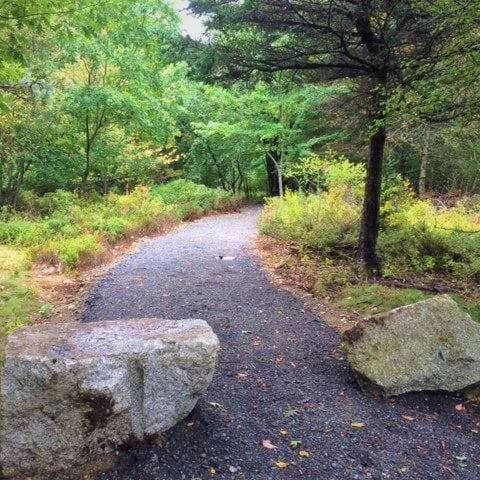 wide gravel trail with two boulders placed too close together to allow wheelchair access