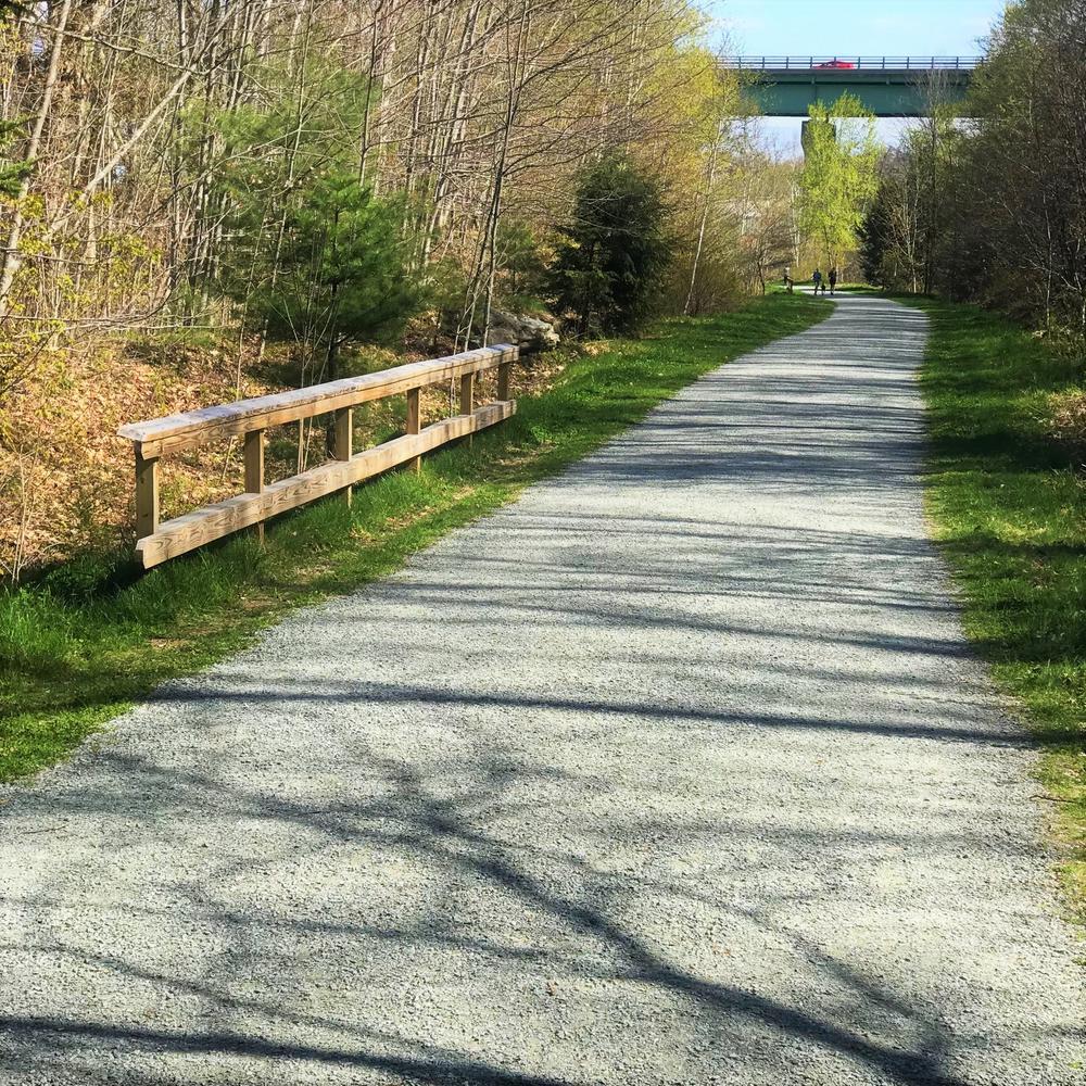 A adventure course for wheelchairs is chalked in at teh beginning of the Bethel Pathway