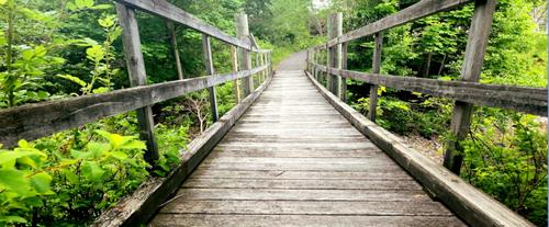 Enock's Adventures: Alfred and Cynthia Sudsbury Walking Trail