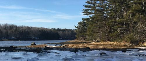 Behind the Bow Saw: Frenchman Bay Conservancy