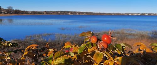 Enock's Adventures: Back Cove Trail