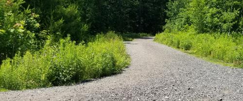 Enock's Adventures: Evergreen Cemetery and Hinckley Park