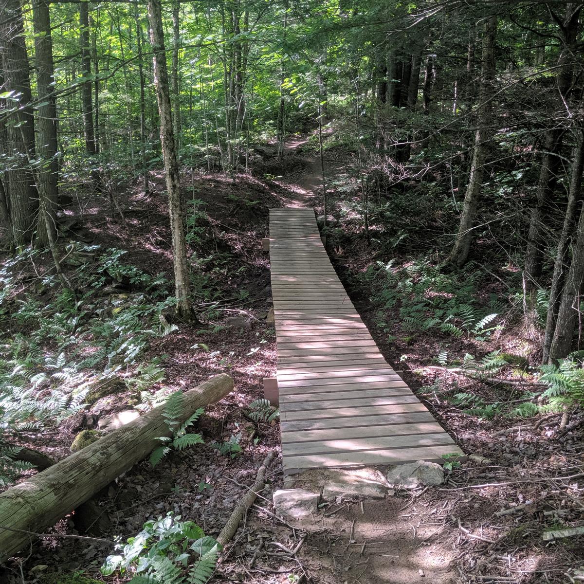 A 3 feet wide wooden boardwalk crossed over a low and wet section of trail