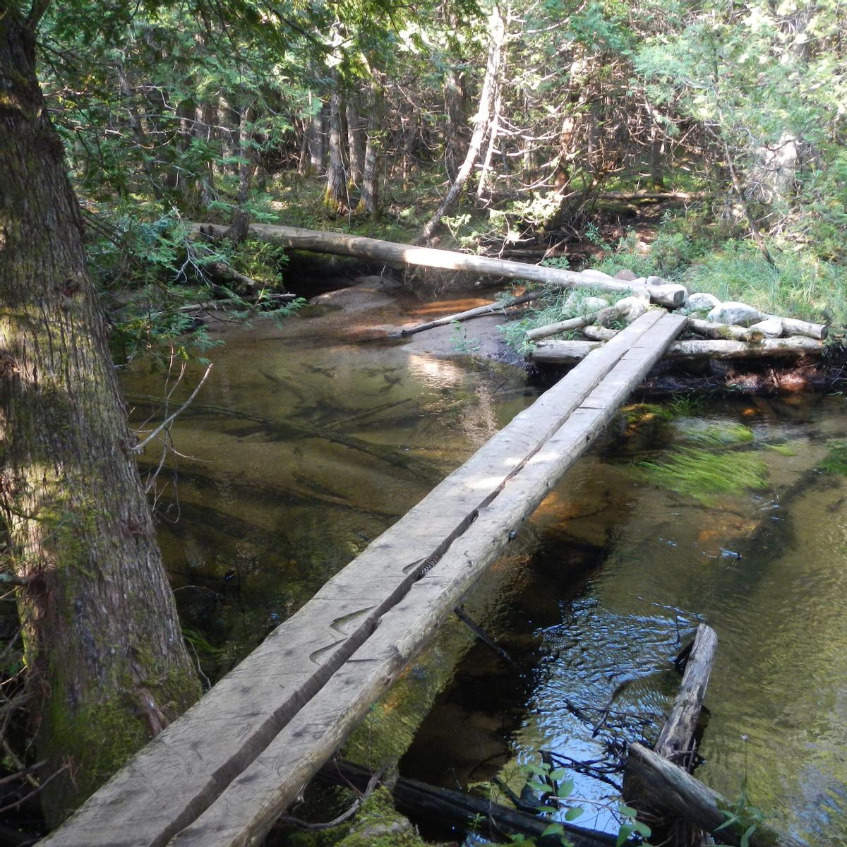 A narrow bridge of two boards crosses a stream