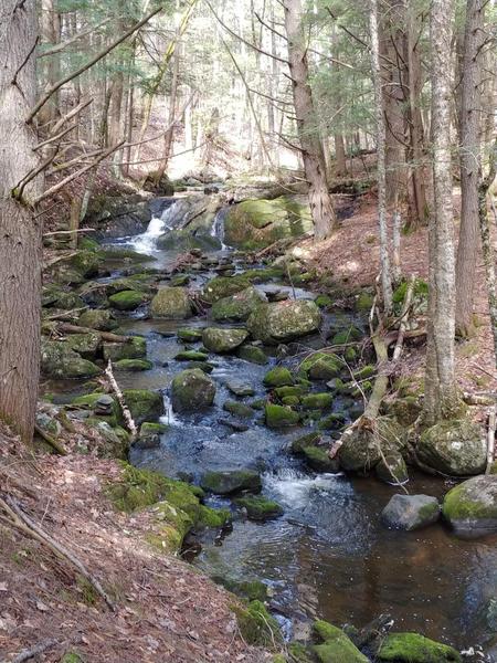 Norumbega Cider Tasting & Hike