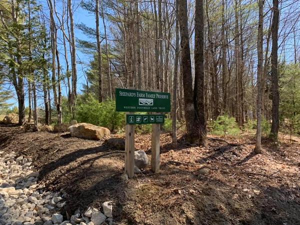 Removing Invasives Mechanically